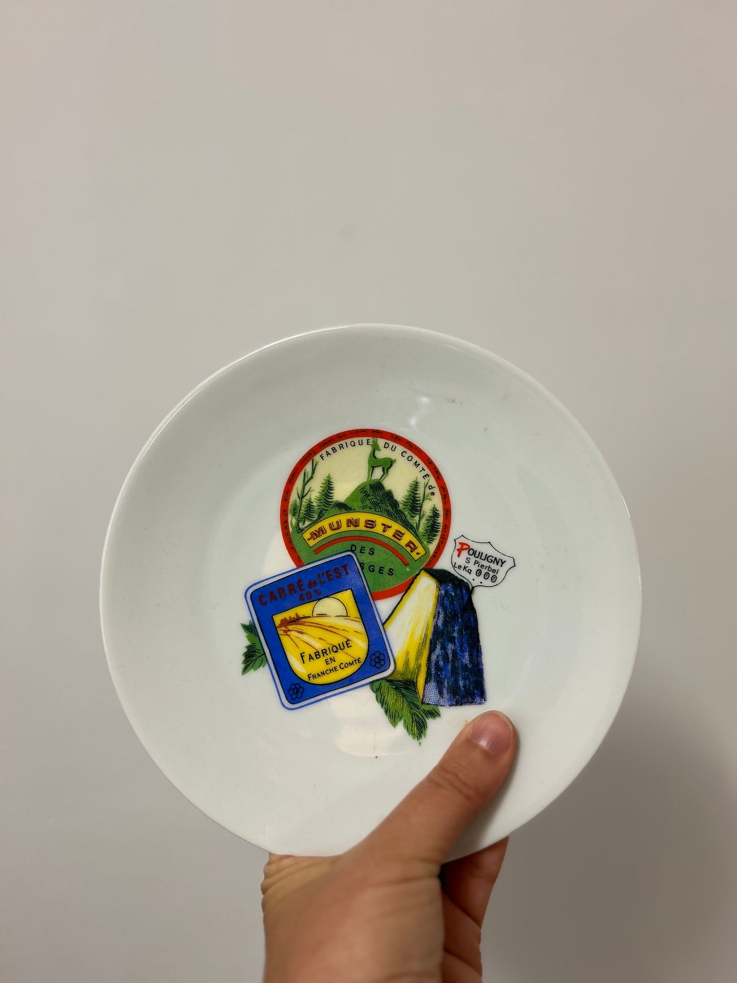 Ensemble d’assiettes à fromage porcelaine de limoges