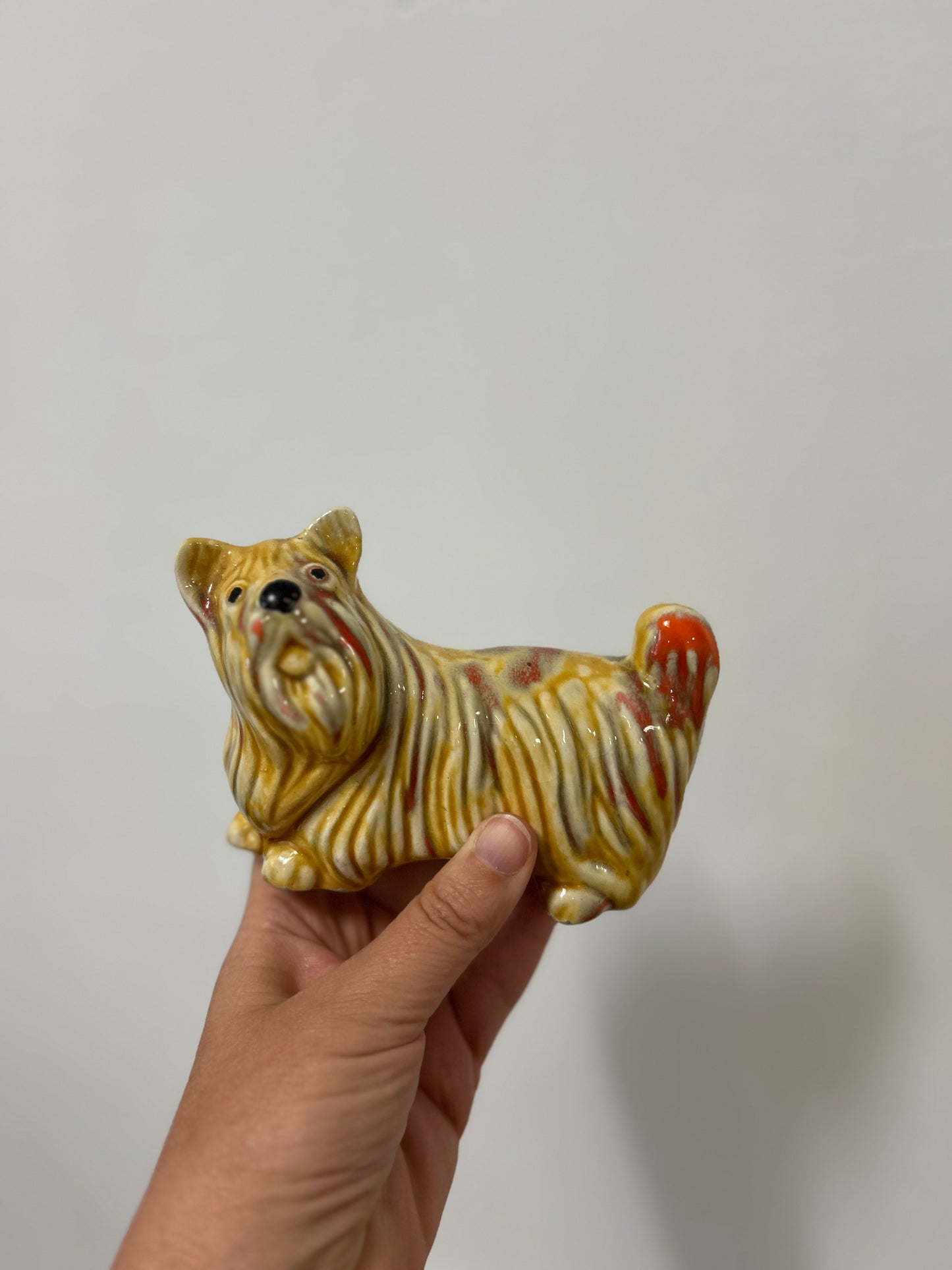 Tirelire chien polux