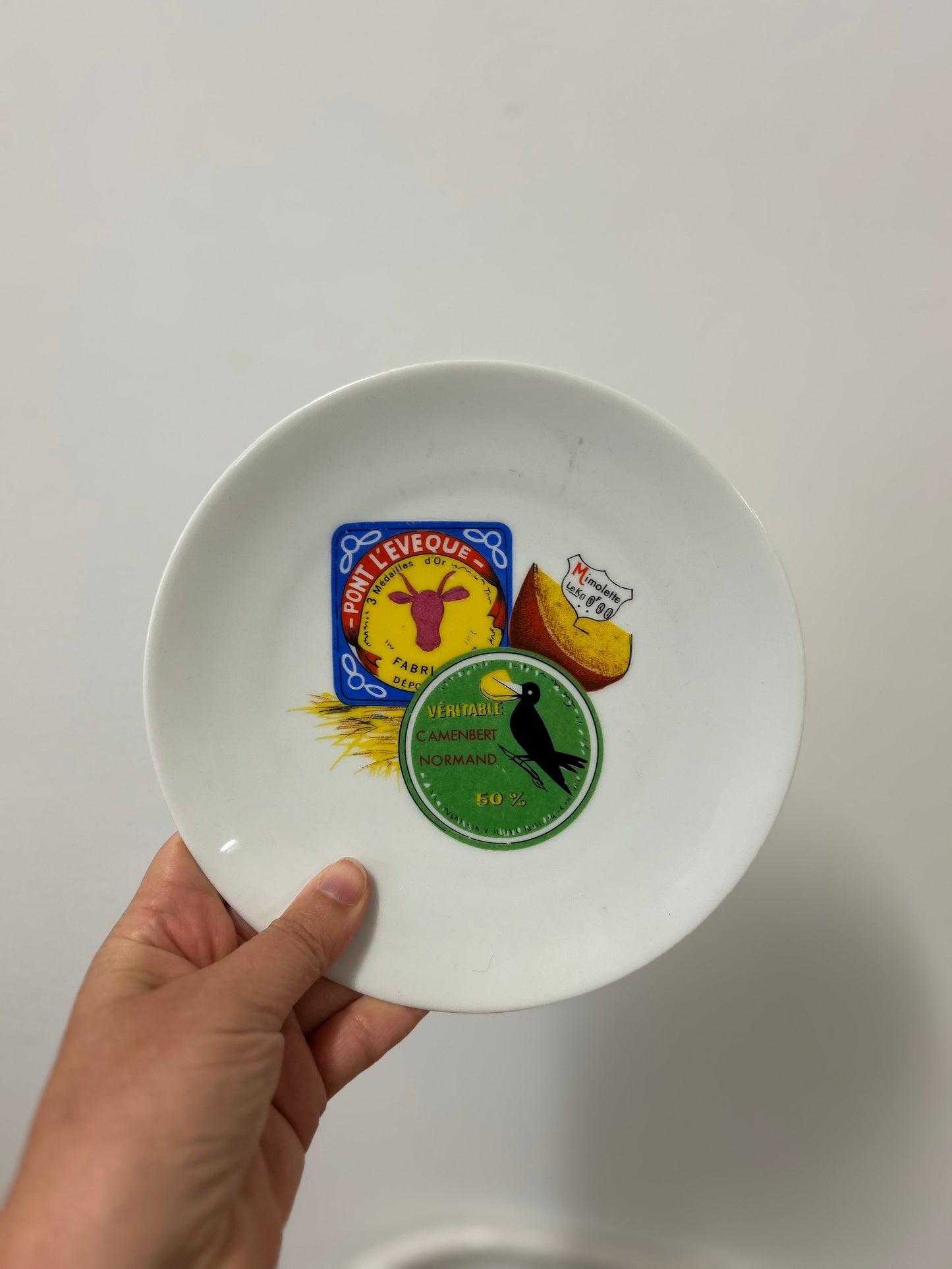 Ensemble d’assiettes à fromage porcelaine de limoges