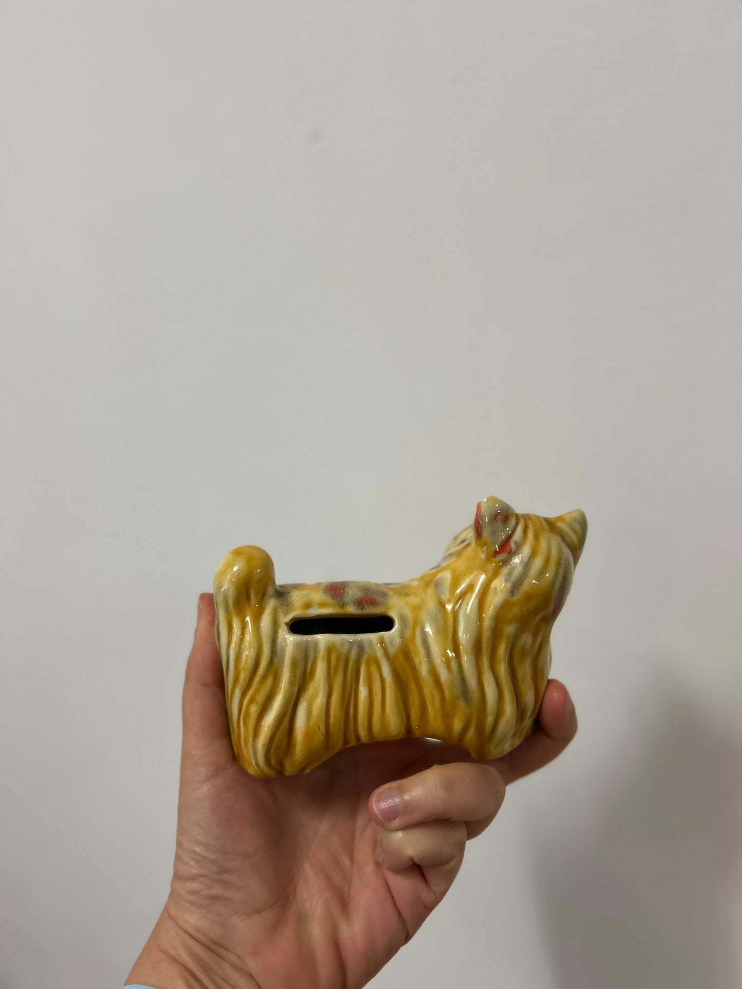 Tirelire chien polux